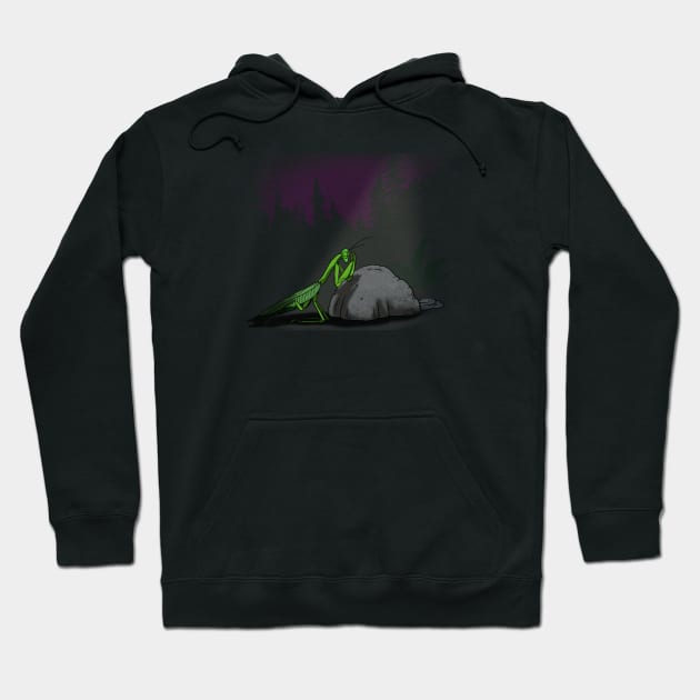 Praying Mantis Cute Funny Jesus Christ Religious Scene Funny Parody Hoodie by BoggsNicolas